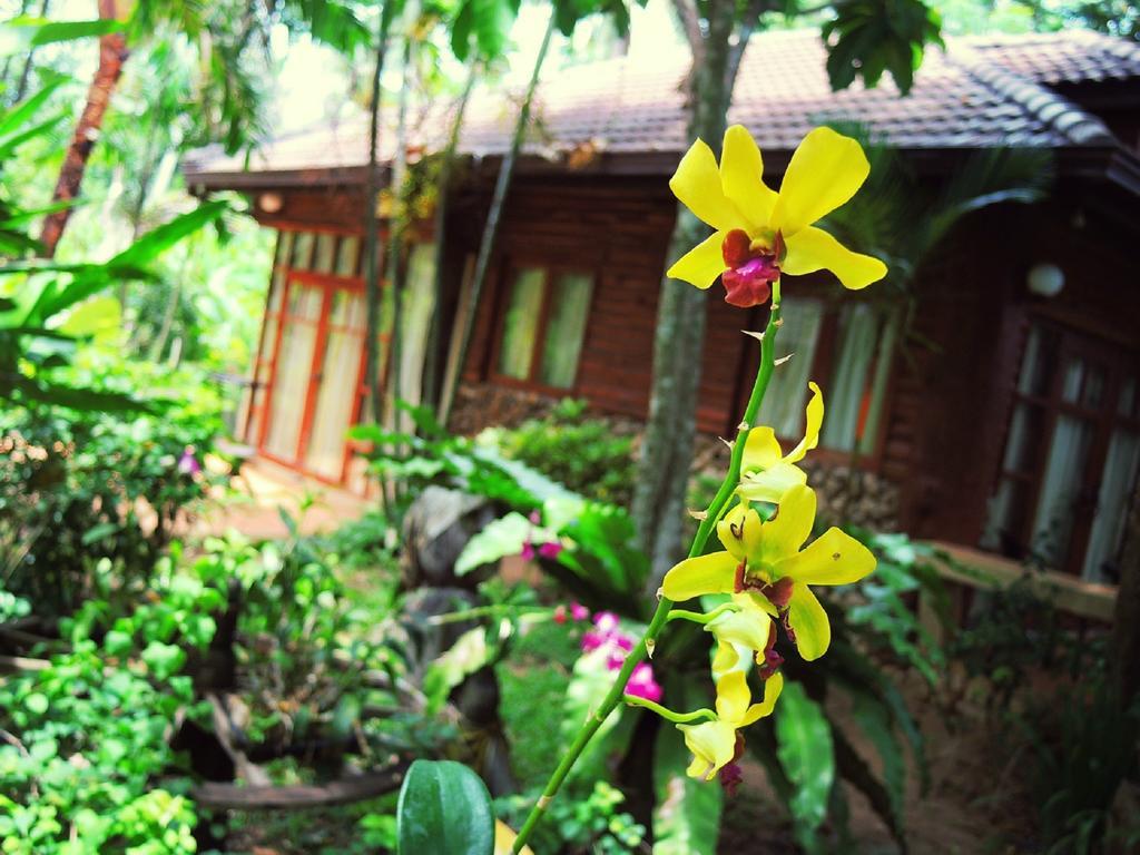 Polina Park Hotel Mae Nam Exterior photo